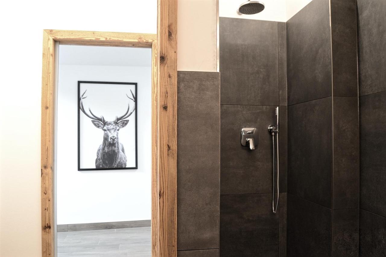 Apartment El Molin - Alpe Cermis Dolomites